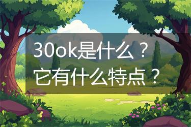 30ok是什么？它有什么特点？