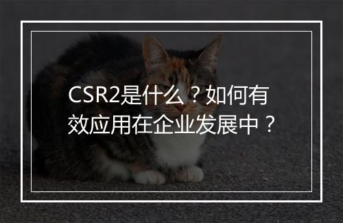 CSR2是什么？如何有效应用在企业发展中？