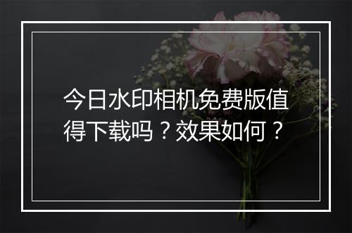 今日水印相机免费版值得下载吗？效果如何？