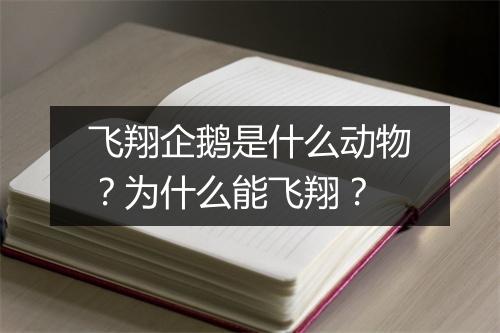飞翔企鹅是什么动物？为什么能飞翔？