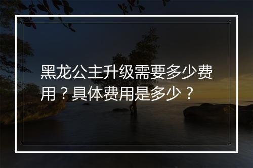 黑龙公主升级需要多少费用？具体费用是多少？