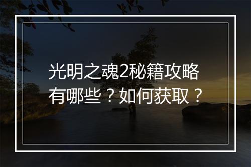光明之魂2秘籍攻略有哪些？如何获取？