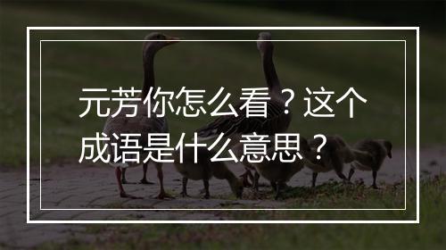 元芳你怎么看？这个成语是什么意思？