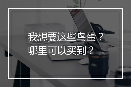 我想要这些鸟蛋？哪里可以买到？