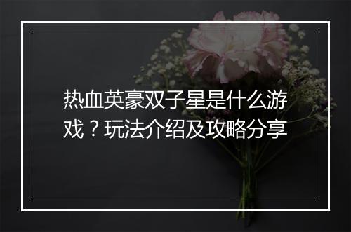 热血英豪双子星是什么游戏？玩法介绍及攻略分享