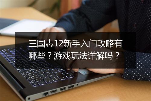 三国志12新手入门攻略有哪些？游戏玩法详解吗？