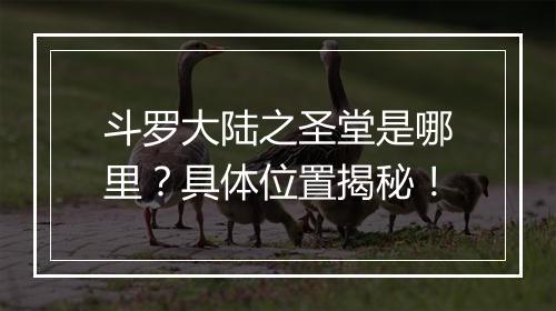 斗罗大陆之圣堂是哪里？具体位置揭秘！