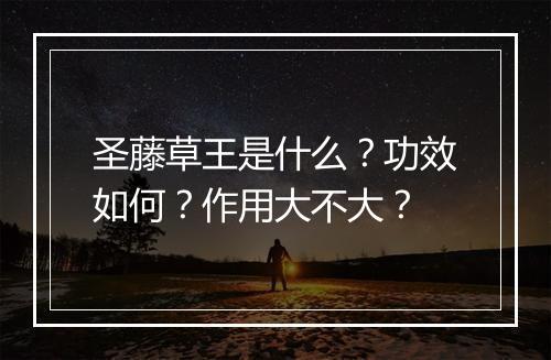 圣藤草王是什么？功效如何？作用大不大？