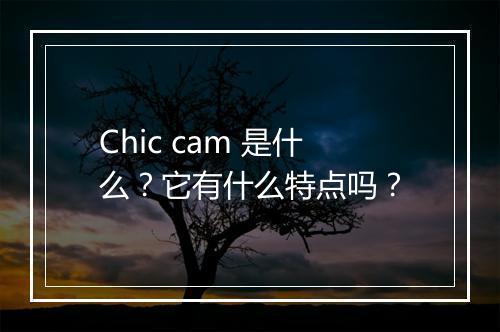 Chic cam 是什么？它有什么特点吗？