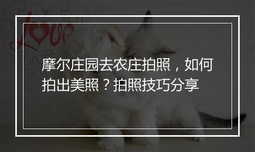 摩尔庄园去农庄拍照，如何拍出美照？拍照技巧分享