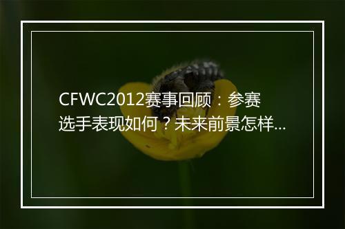 CFWC2012赛事回顾：参赛选手表现如何？未来前景怎样？