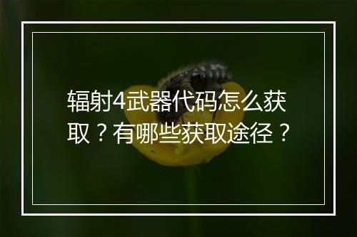 辐射4武器代码怎么获取？有哪些获取途径？