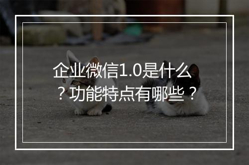 企业微信1.0是什么？功能特点有哪些？