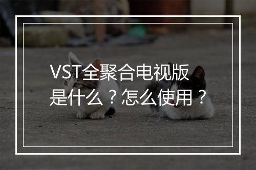 VST全聚合电视版是什么？怎么使用？