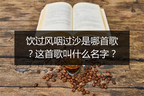 饮过风咽过沙是哪首歌？这首歌叫什么名字？