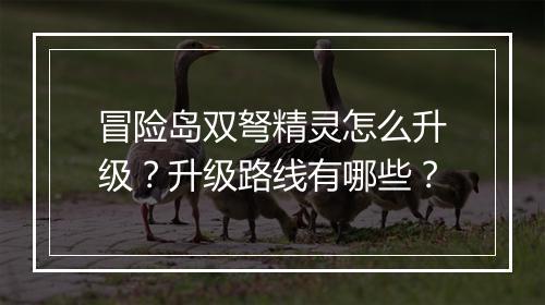 冒险岛双弩精灵怎么升级？升级路线有哪些？