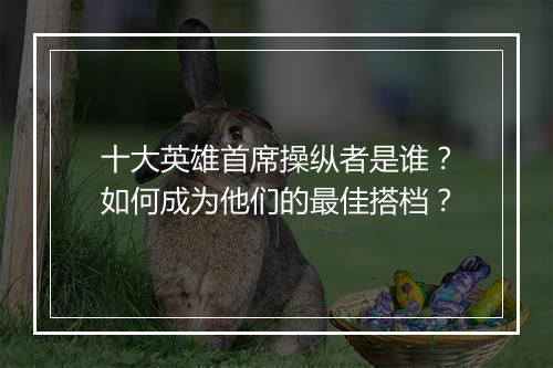 十大英雄首席操纵者是谁？如何成为他们的最佳搭档？