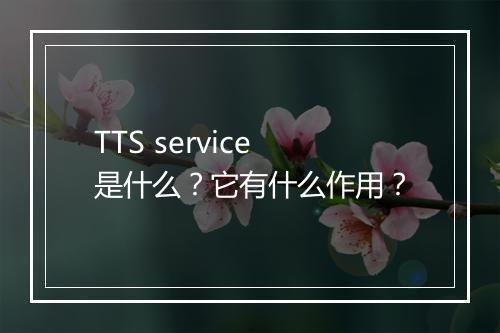 TTS service是什么？它有什么作用？