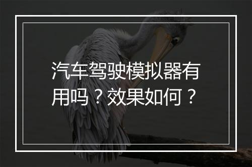 汽车驾驶模拟器有用吗？效果如何？