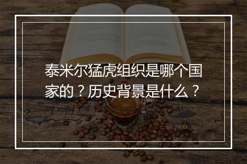 泰米尔猛虎组织是哪个国家的？历史背景是什么？