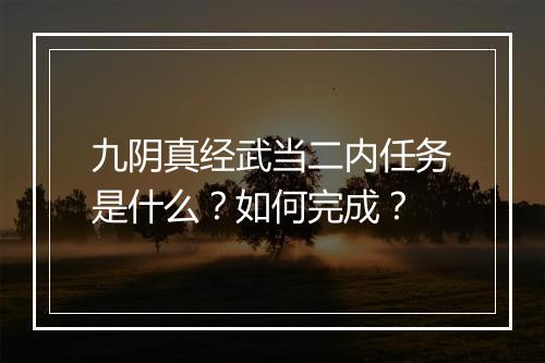 九阴真经武当二内任务是什么？如何完成？