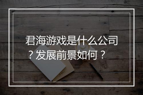 君海游戏是什么公司？发展前景如何？