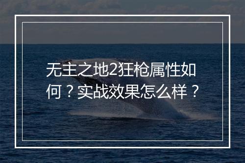 无主之地2狂枪属性如何？实战效果怎么样？