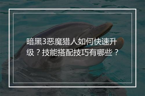 暗黑3恶魔猎人如何快速升级？技能搭配技巧有哪些？