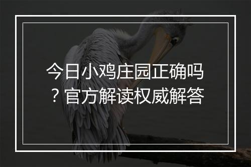 今日小鸡庄园正确吗？官方解读权威解答