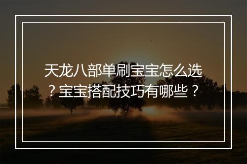 天龙八部单刷宝宝怎么选？宝宝搭配技巧有哪些？