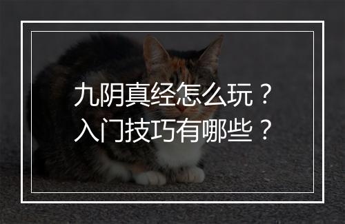 九阴真经怎么玩？入门技巧有哪些？