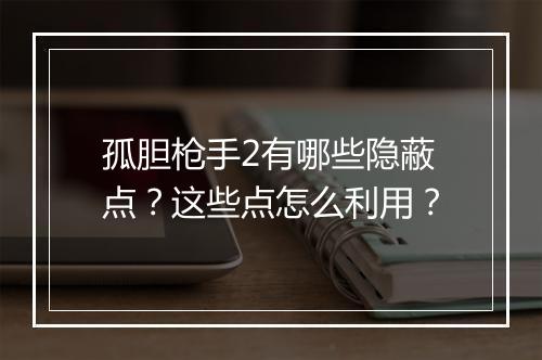 孤胆枪手2有哪些隐蔽点？这些点怎么利用？