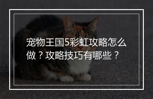 宠物王国5彩虹攻略怎么做？攻略技巧有哪些？