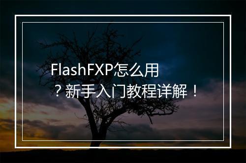 FlashFXP怎么用？新手入门教程详解！