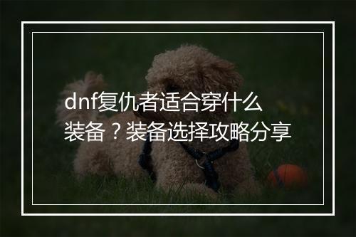 dnf复仇者适合穿什么装备？装备选择攻略分享
