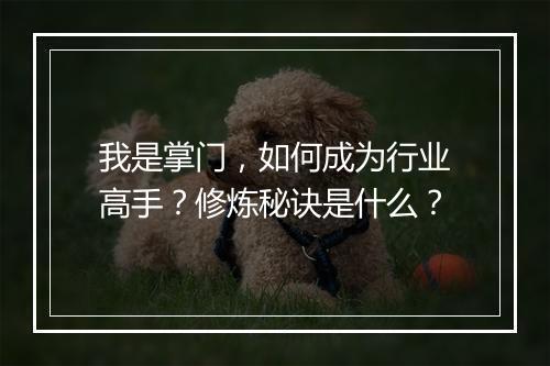 我是掌门，如何成为行业高手？修炼秘诀是什么？