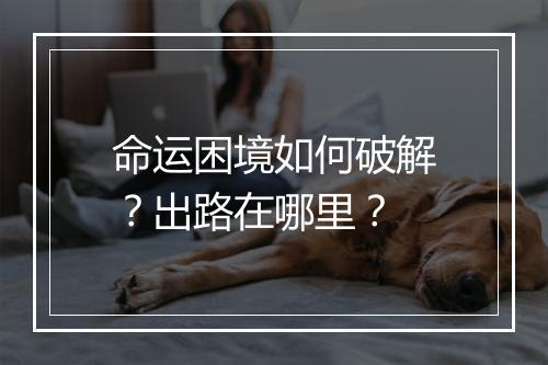 命运困境如何破解？出路在哪里？