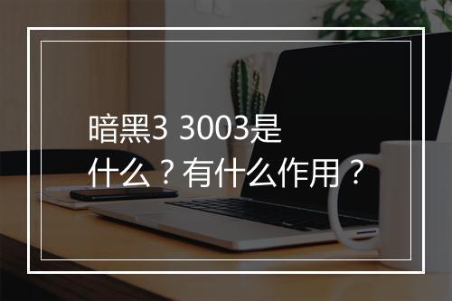 暗黑3 3003是什么？有什么作用？