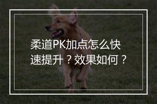 柔道PK加点怎么快速提升？效果如何？