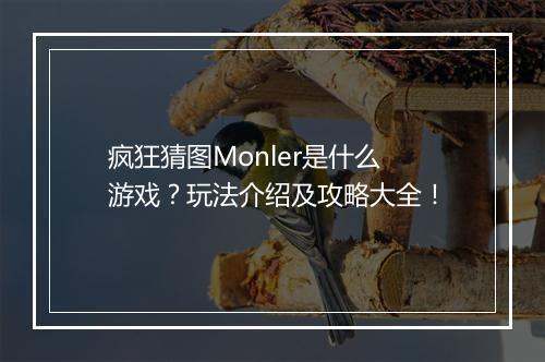 疯狂猜图Monler是什么游戏？玩法介绍及攻略大全！