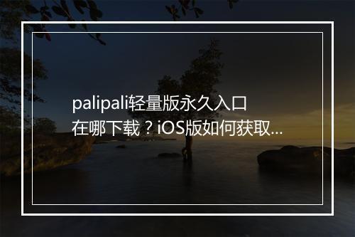 palipali轻量版永久入口在哪下载？iOS版如何获取？