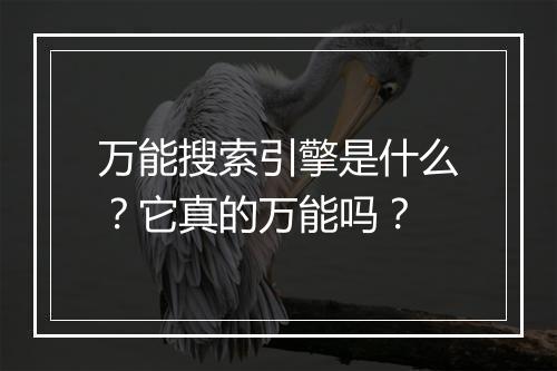 万能搜索引擎是什么？它真的万能吗？