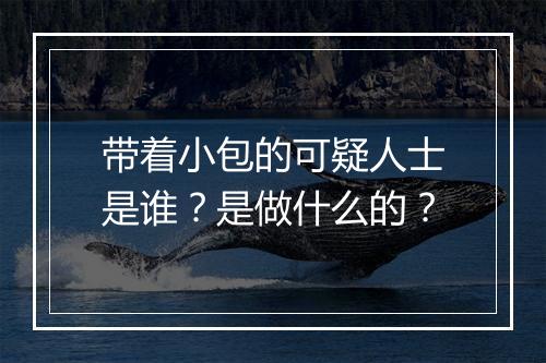 带着小包的可疑人士是谁？是做什么的？