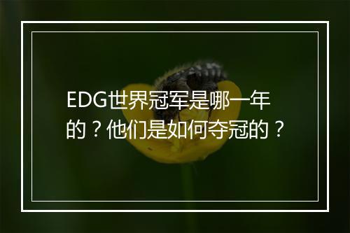 EDG世界冠军是哪一年的？他们是如何夺冠的？