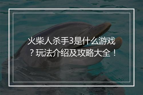 火柴人杀手3是什么游戏？玩法介绍及攻略大全！