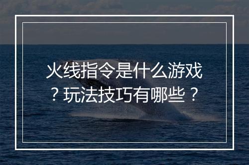 火线指令是什么游戏？玩法技巧有哪些？
