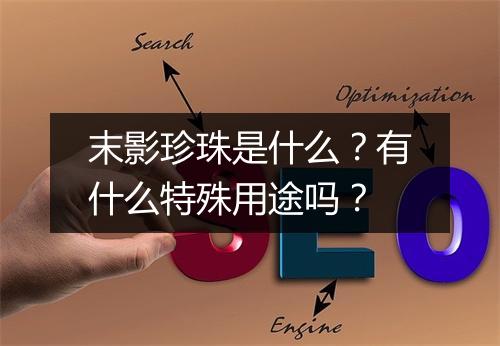 末影珍珠是什么？有什么特殊用途吗？