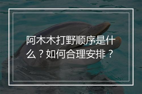 阿木木打野顺序是什么？如何合理安排？
