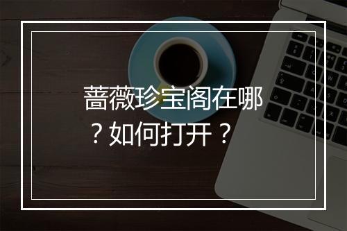 蔷薇珍宝阁在哪？如何打开？