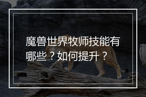 魔兽世界牧师技能有哪些？如何提升？